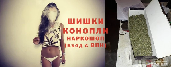 шишки Алзамай