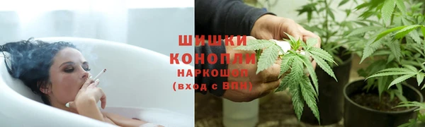 шишки Алзамай